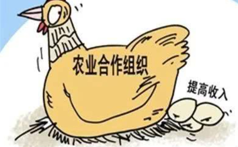 鄭州農(nóng)民專業(yè)合作社設立登記目錄