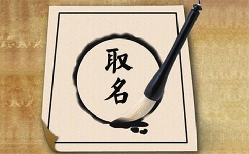 河南掌上個(gè)體商戶名稱(chēng)自主申報(bào)字號(hào)是啥？
